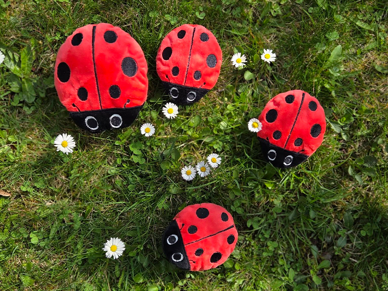 Glückskäfer Marienkäfer - ITH-Stickdatei